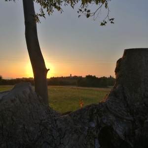 Pedemontana del Friuli, Friuli Venezia Giulia, Pordenone, Dardago, Budoia, Castello di Aviano