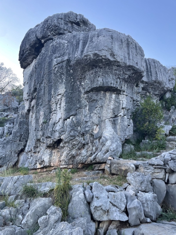 sas de san belin, friuli alternativo